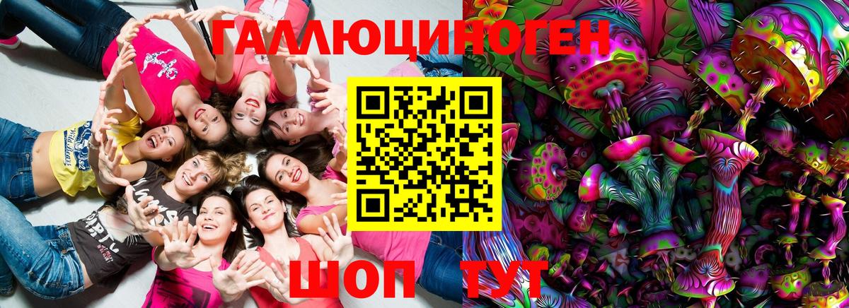 Асино  Галлюциногенные грибы Psilocybe  Псилоцибиновые грибы прущие грибы  дарнет шоп  Вход с VPN 